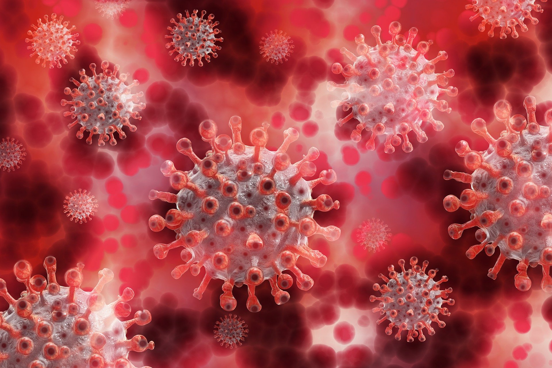 Visuele representatie van het coronavirus. © Pixabay