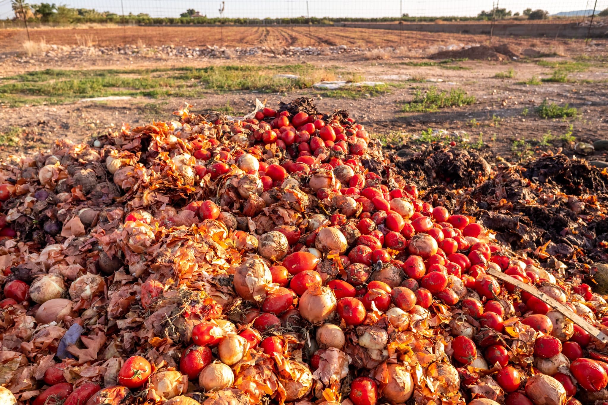 What Are Agricultural Residues